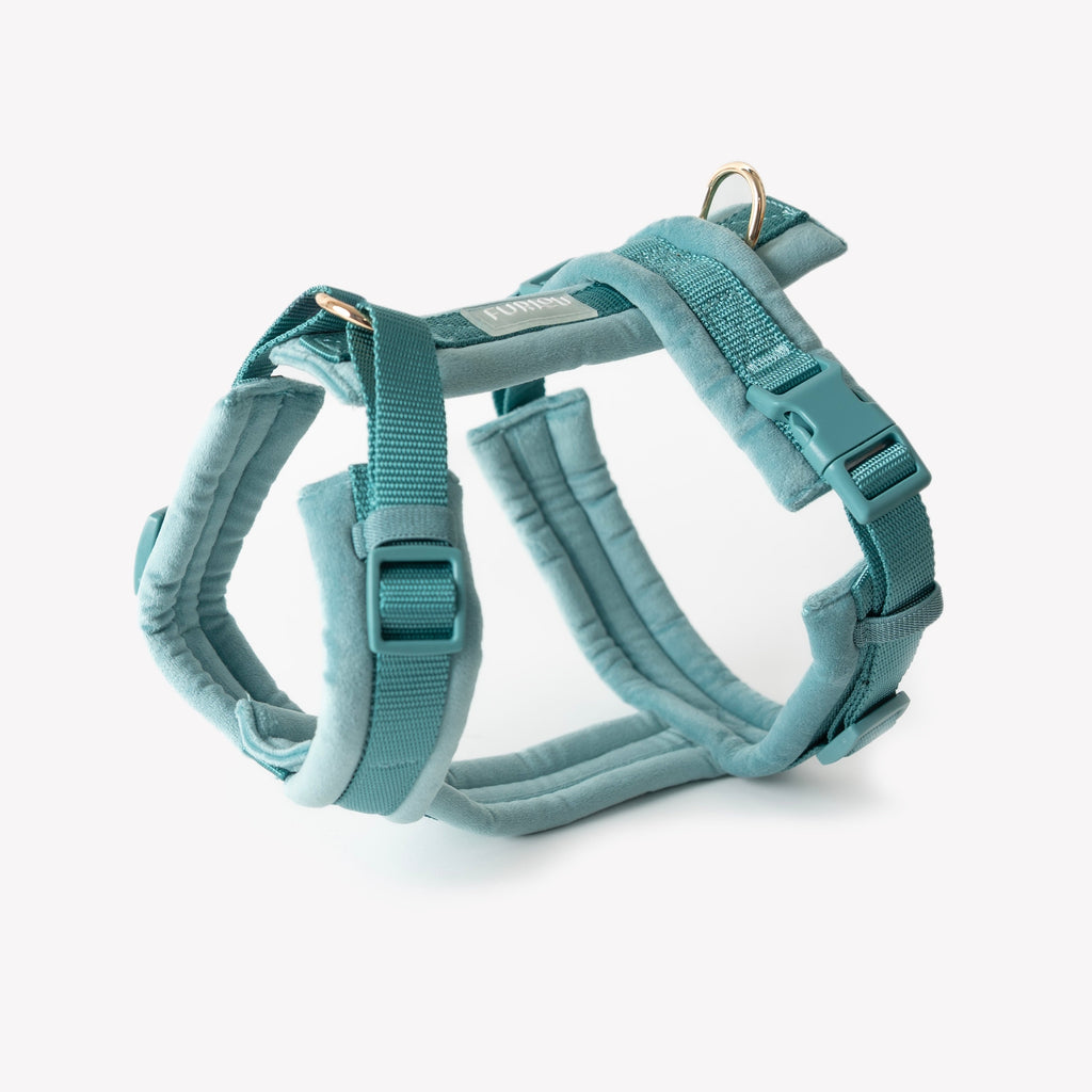 The Blue Velvet Walking Harness