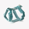 The Blue Velvet Walking Harness