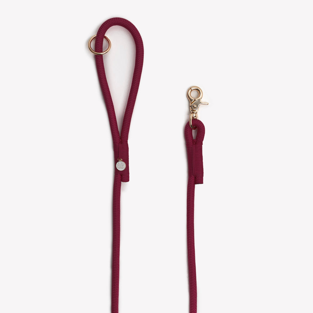 The Bordeaux Braided Rope Lead