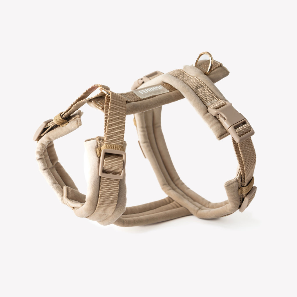 The Sand Velvet Walking Harness