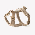 The Sand Velvet Walking Harness