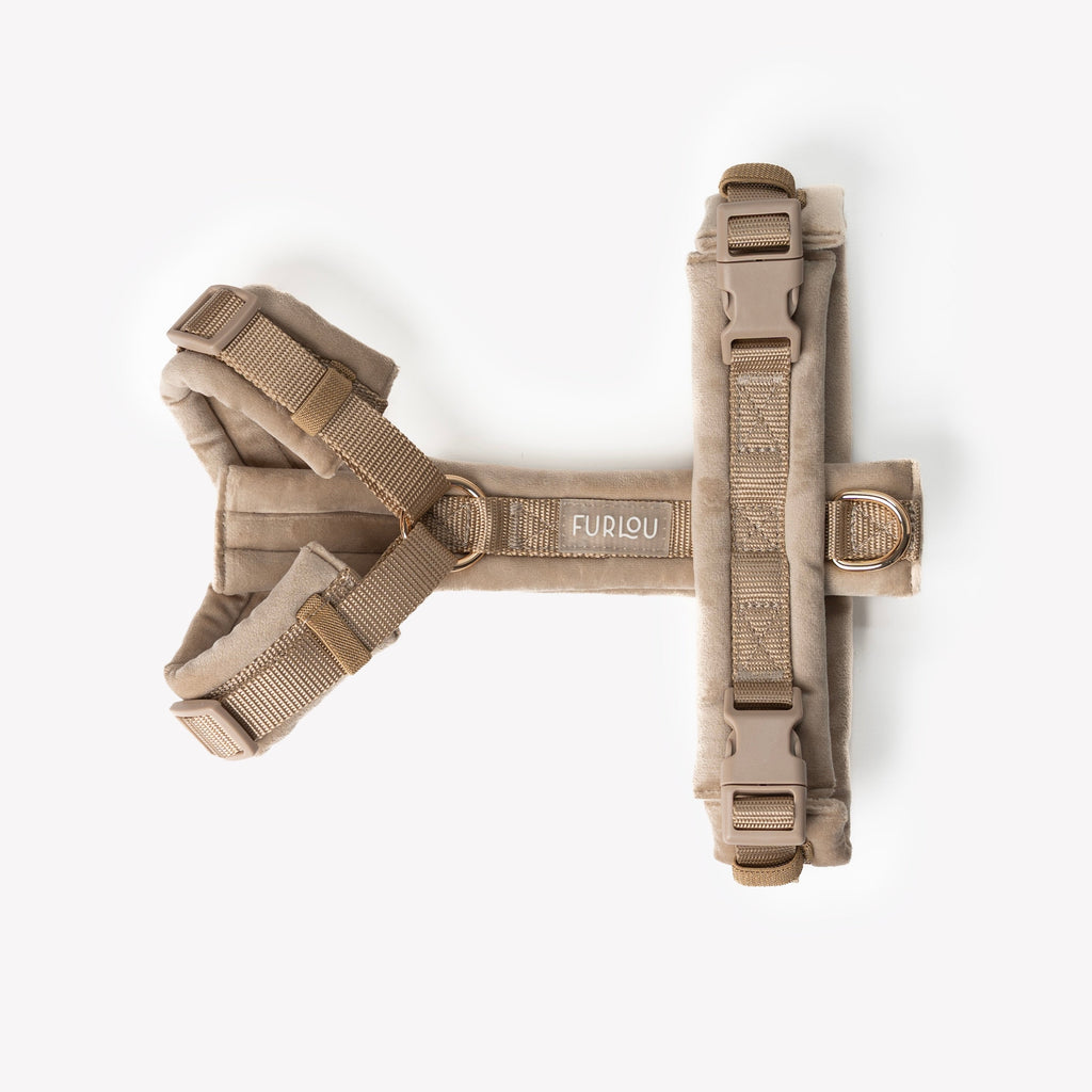 The Sand Velvet Walking Harness