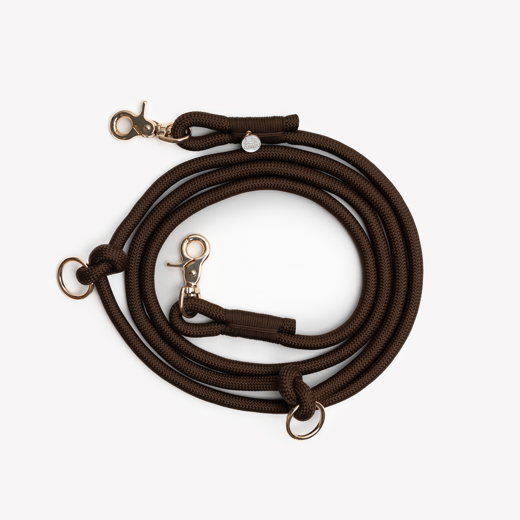 Brown Hands-Free Braided Leash