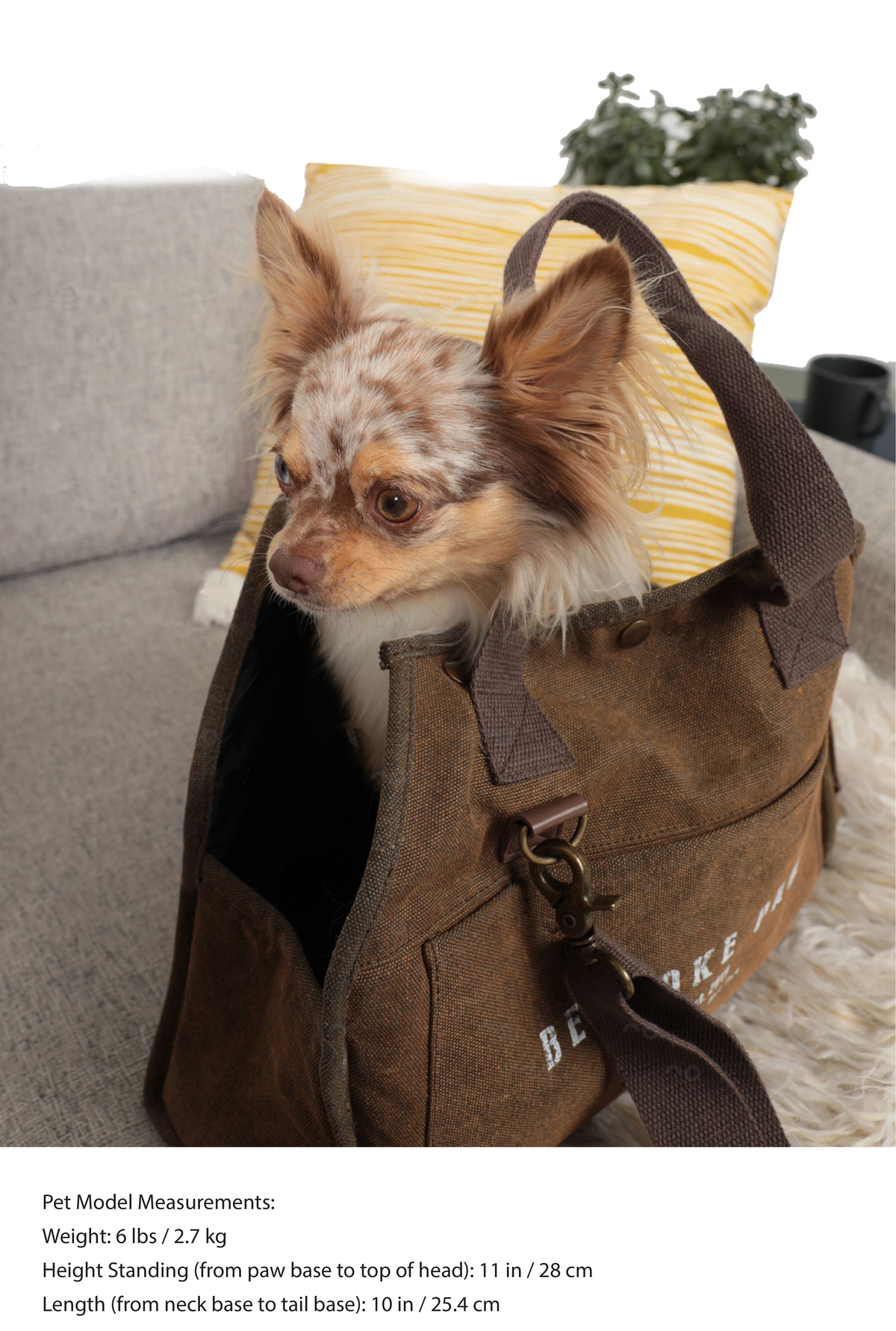The Army Green Daily Dog Carrier by Bespoke Paws