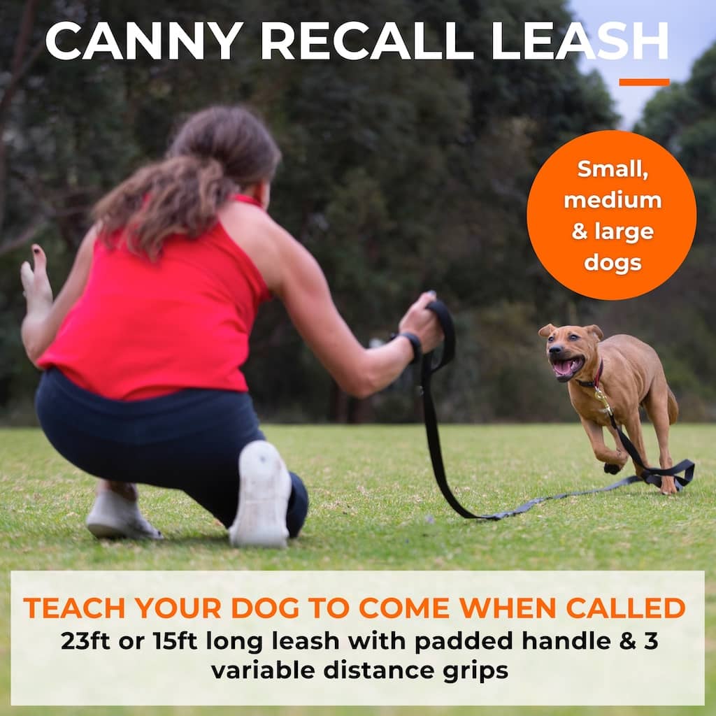 The Canny Long Line Recall Leash