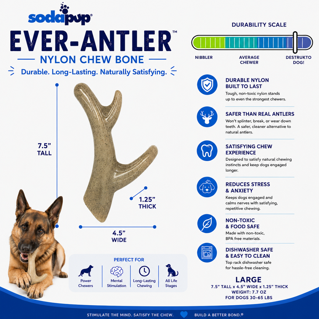 Ever Antler Nylon Chew by SodaPup