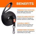 The Canny Long Line Recall Leash