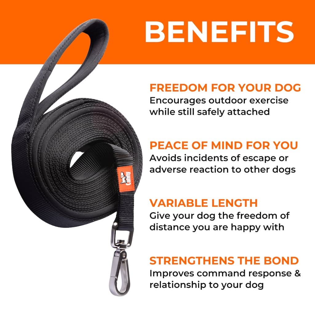 The Canny Long Line Recall Leash