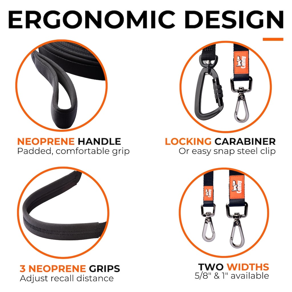 The Canny Long Line Recall Leash