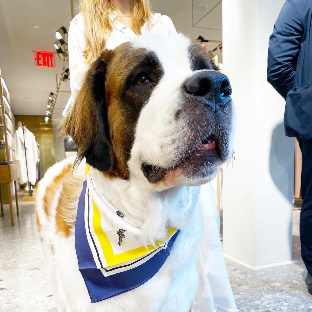 The Erin Silk Twill Dog Scarf by Bespoke Paws