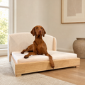 The Haven Handcrafted Orthopedic Bed by Mafé