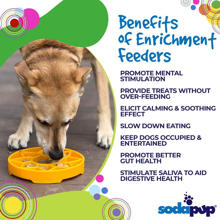 Sunflower Enrichment Feeder by SodaPup