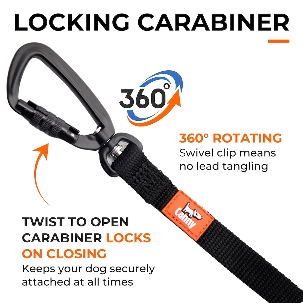 The Canny Long Line Recall Leash