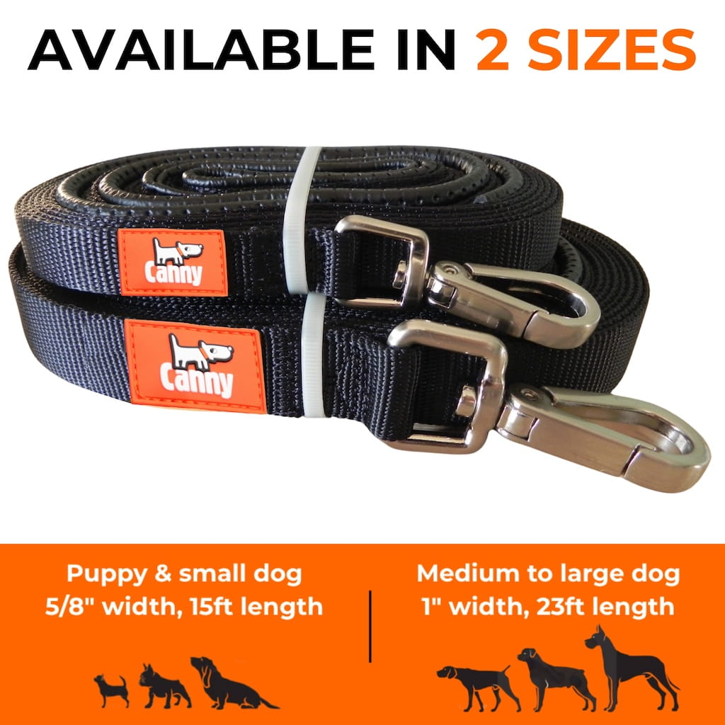 The Canny Long Line Recall Leash