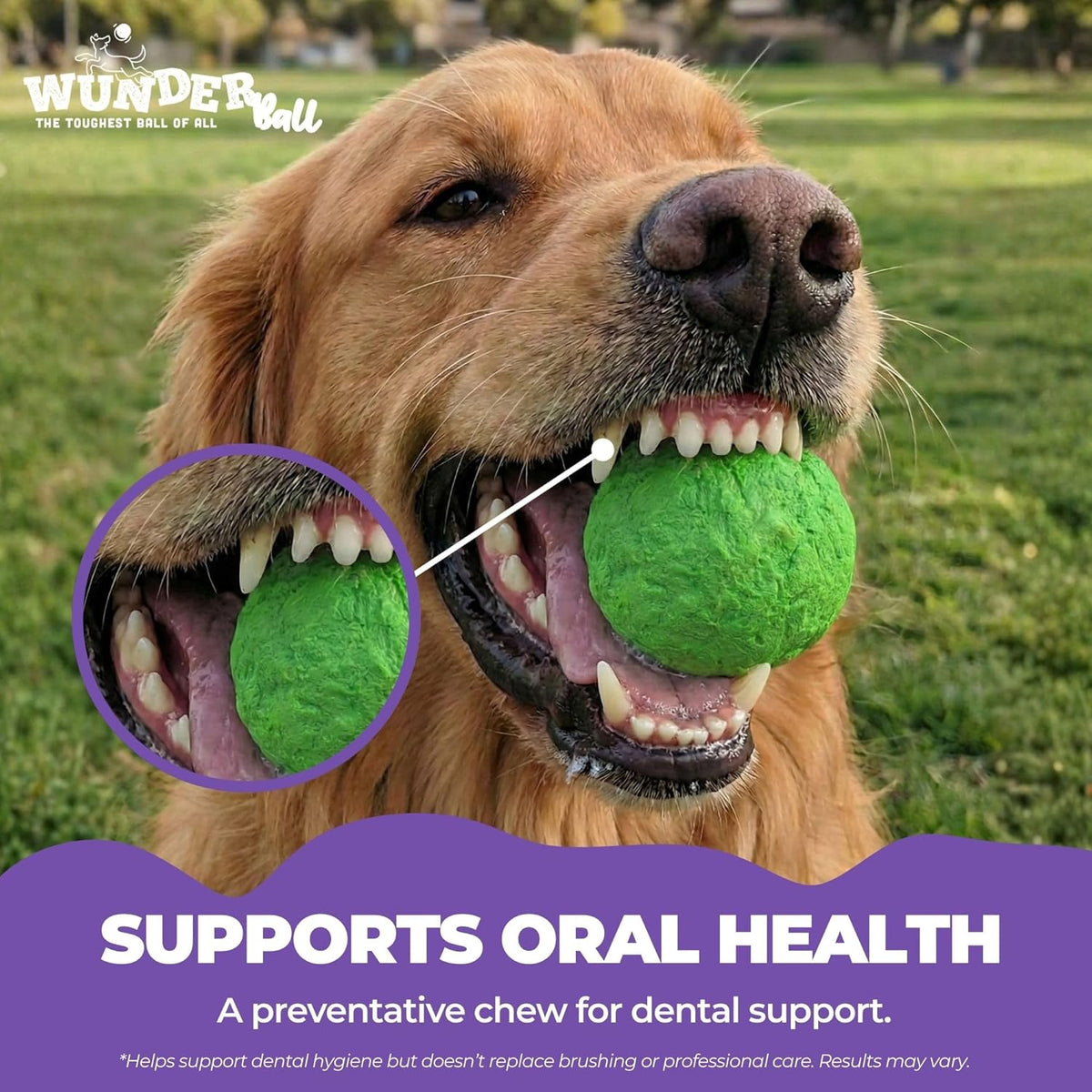 The WUNDERball Natural Rubber Fetch Ball
