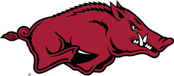 Tusk the Razorback Game-Day Dog Toy