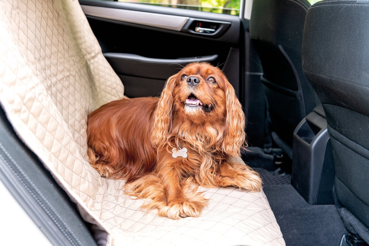 TuffutLuxx Travel Seat Protectors by HuggleHounds