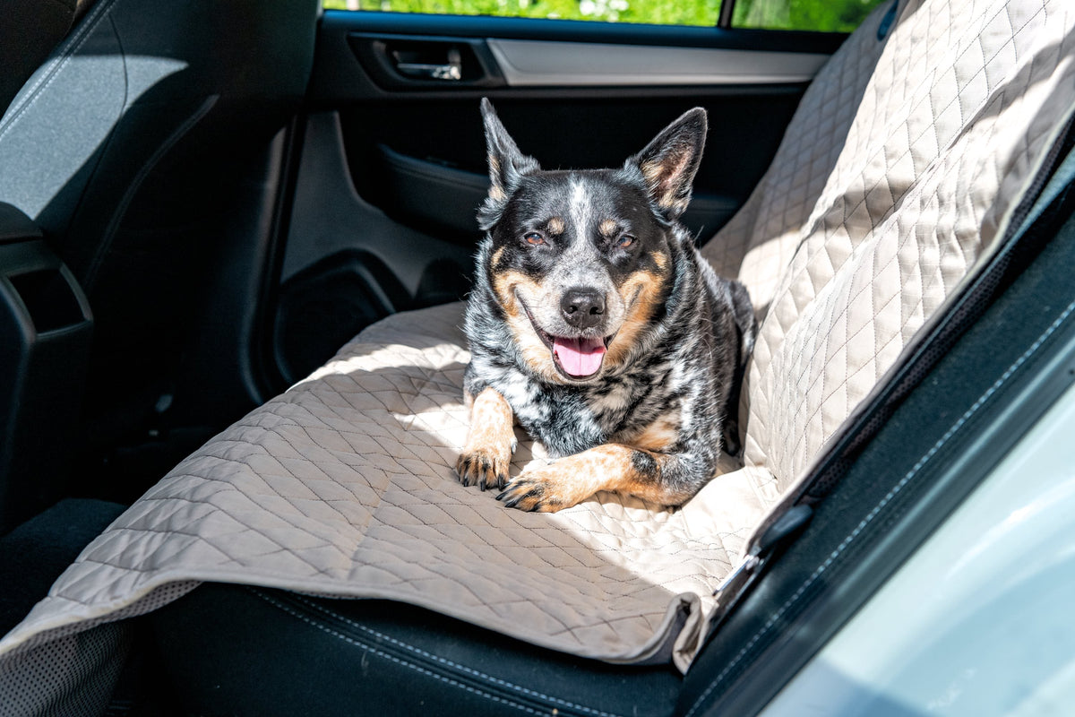TuffutLuxx Travel Seat Protectors by HuggleHounds