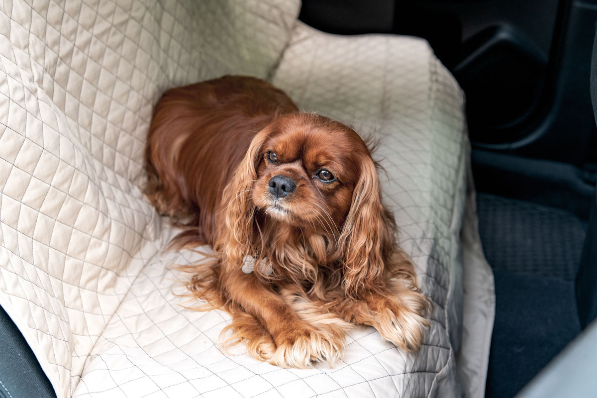 TuffutLuxx Travel Seat Protectors by HuggleHounds