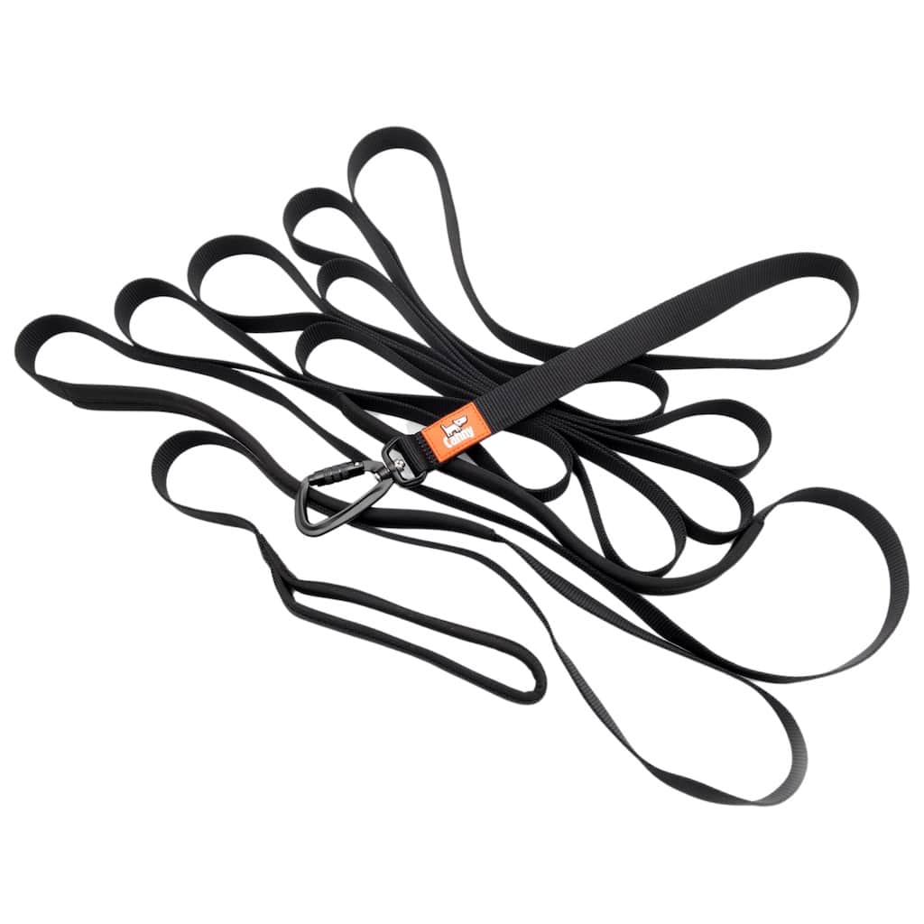 The Canny Long Line Recall Leash