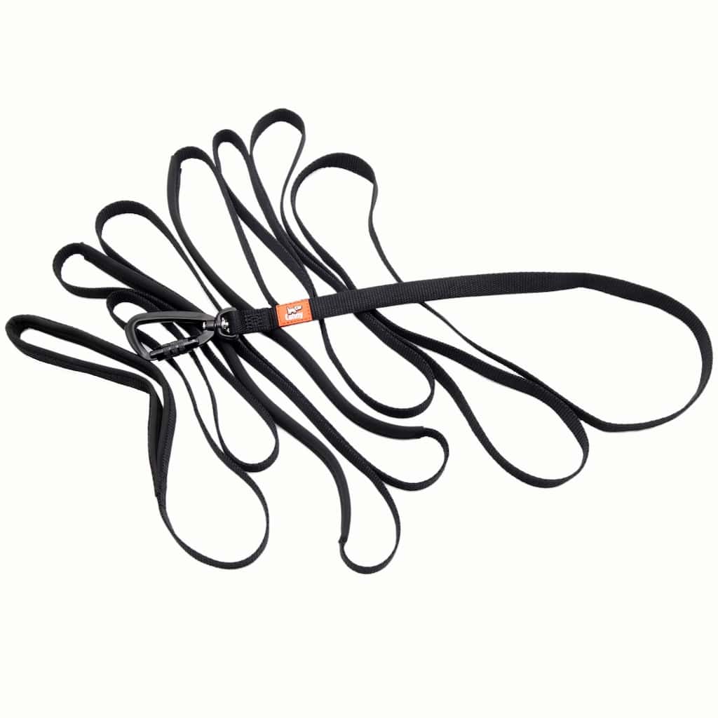 The Canny Long Line Recall Leash