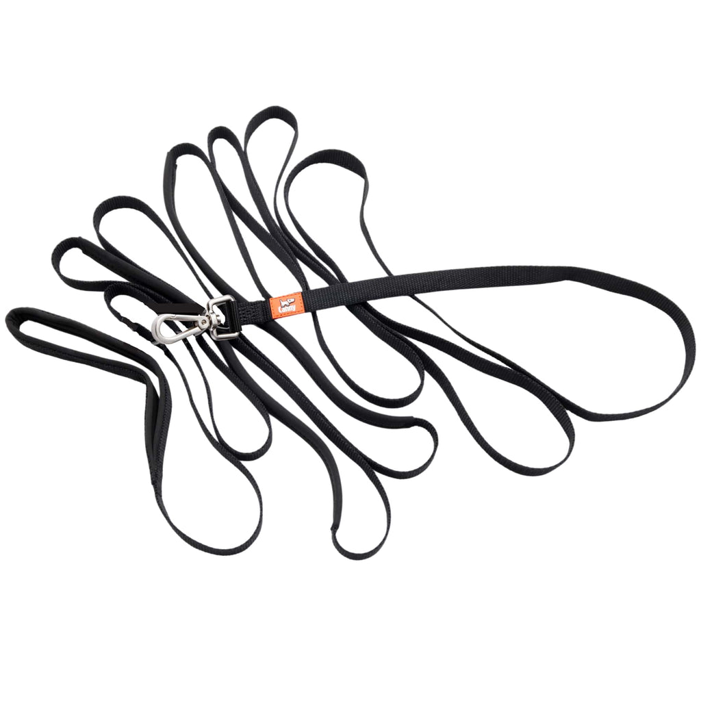 The Canny Long Line Recall Leash