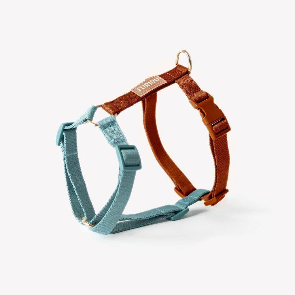 The Blue & Clay Adjustable Harness