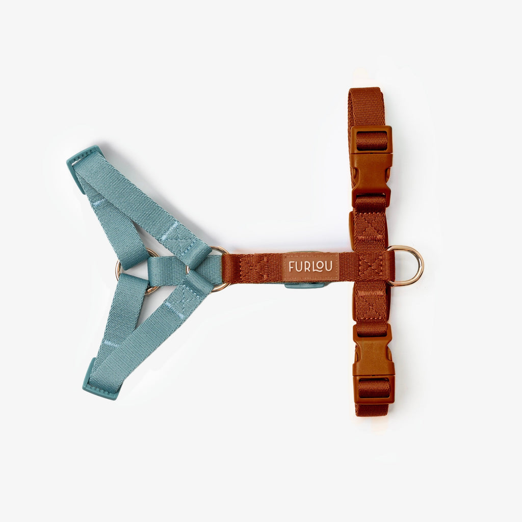 The Blue & Clay Adjustable Harness