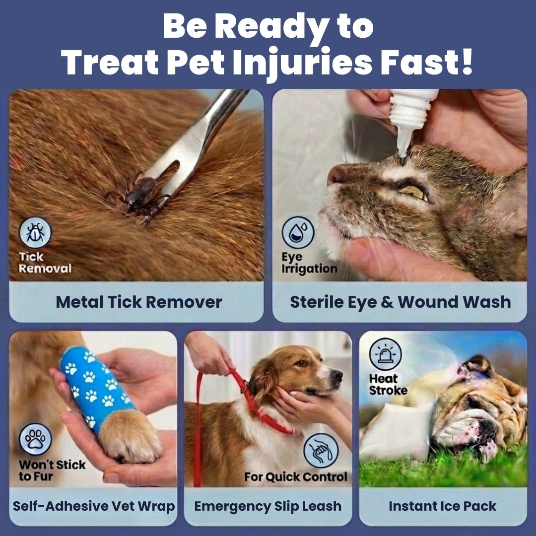 The Rubyloo Pet First Aid Kit