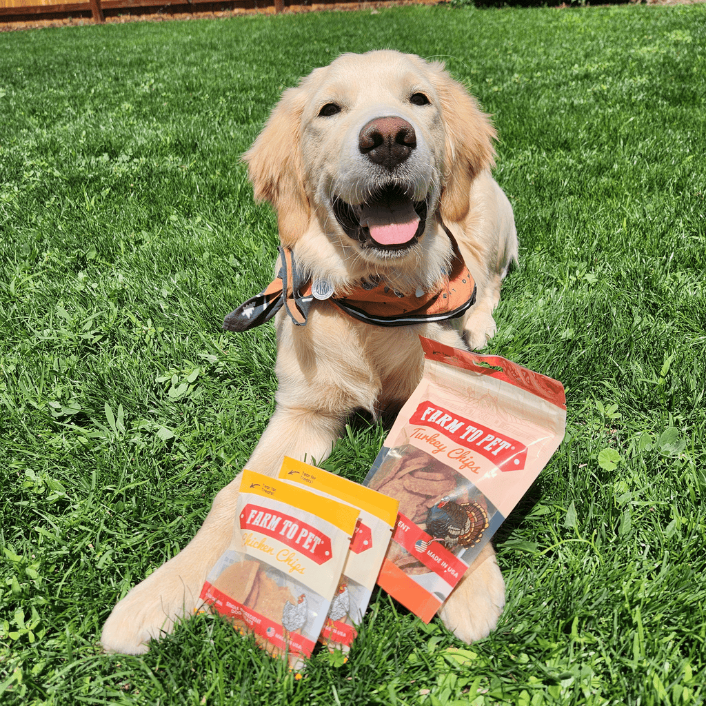 Puppy Training Treat Sampler — Single-Ingredient Protein Treats