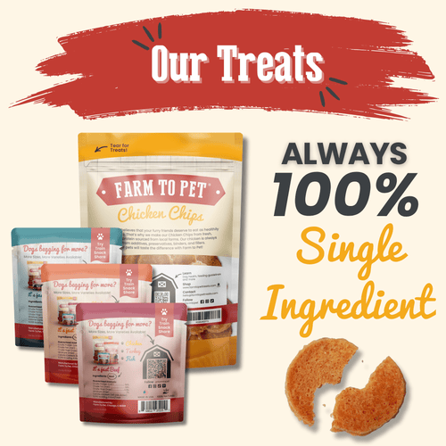 Puppy Training Treat Sampler — Single-Ingredient Protein Treats