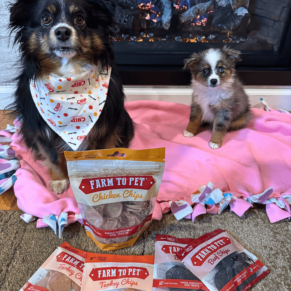 Puppy Training Treat Sampler — Single-Ingredient Protein Treats
