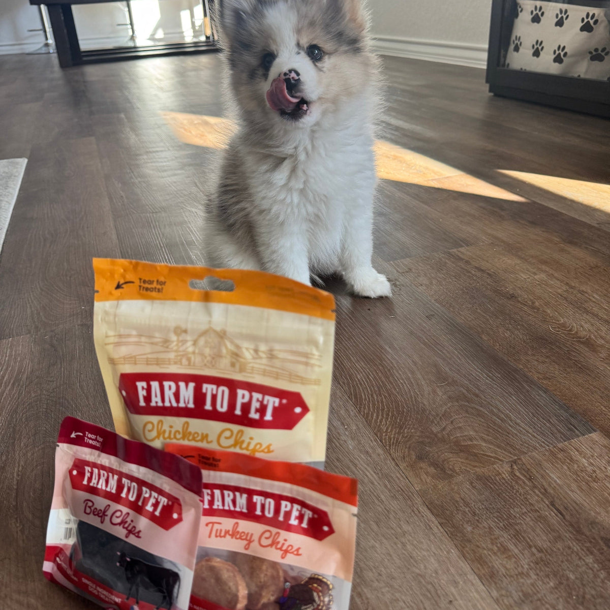 Puppy Training Treat Sampler — Single-Ingredient Protein Treats