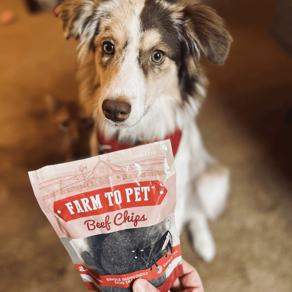 Puppy Training Treat Sampler — Single-Ingredient Protein Treats