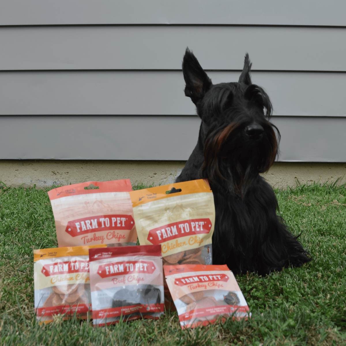 Puppy Training Treat Sampler — Single-Ingredient Protein Treats