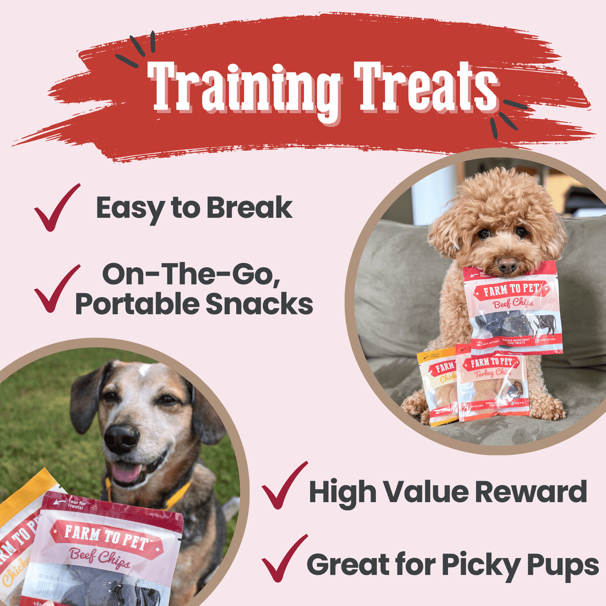 Puppy Training Treat Sampler — Single-Ingredient Protein Treats