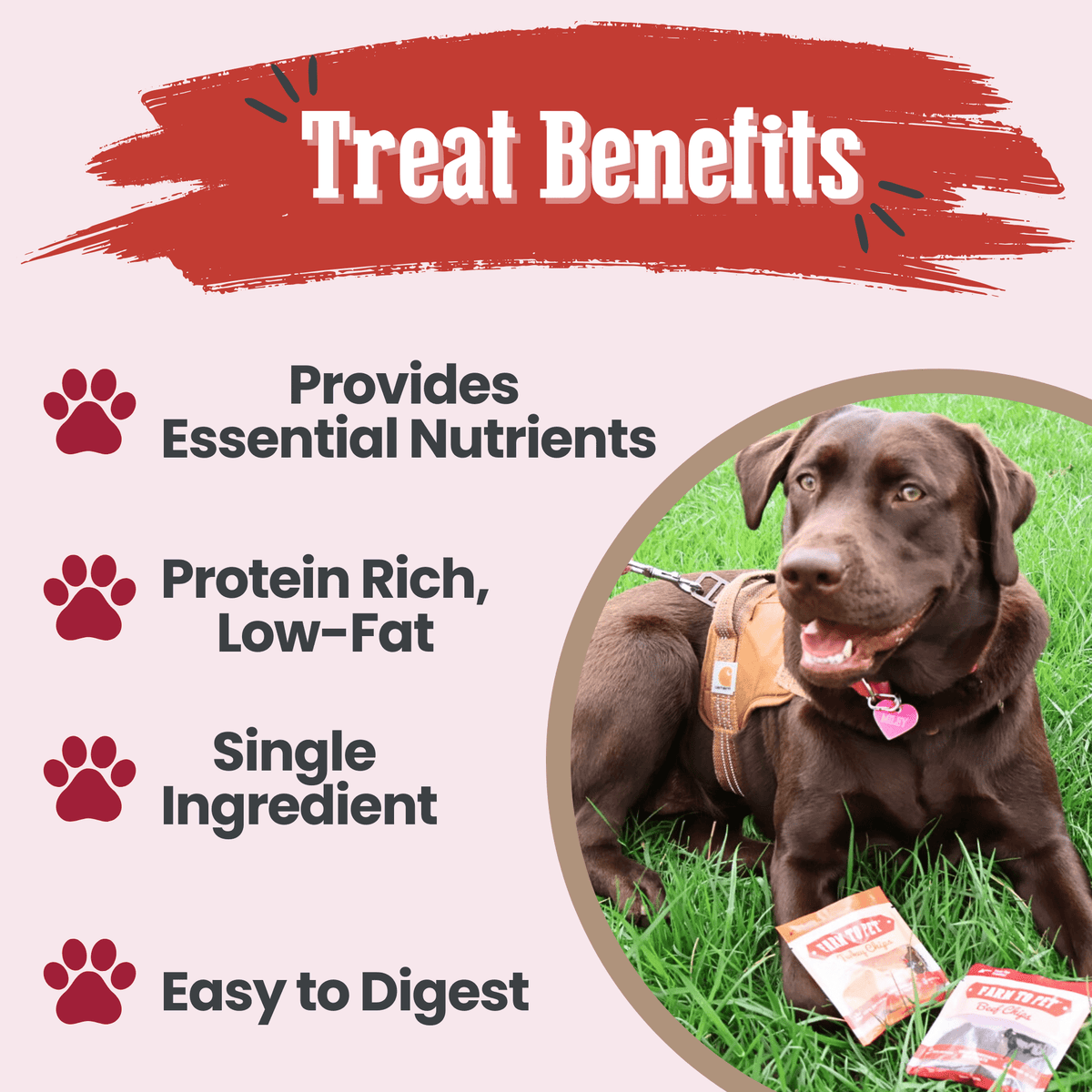 Puppy Training Treat Sampler — Single-Ingredient Protein Treats