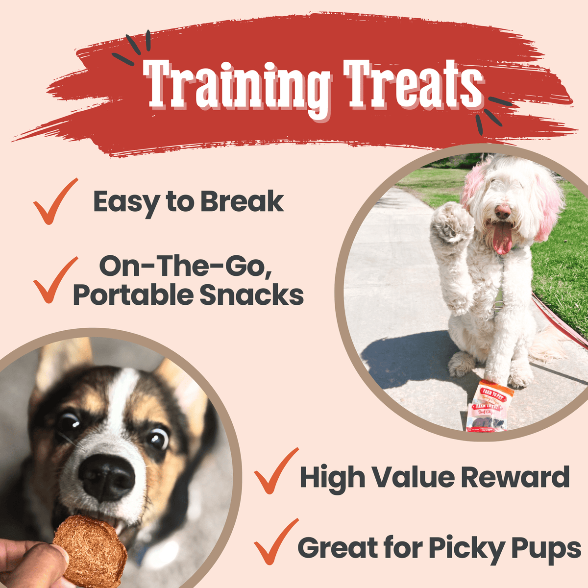 Puppy Training Treat Sampler — Single-Ingredient Protein Treats