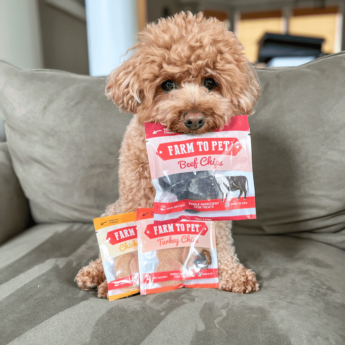 Puppy Training Treat Sampler — Single-Ingredient Protein Treats