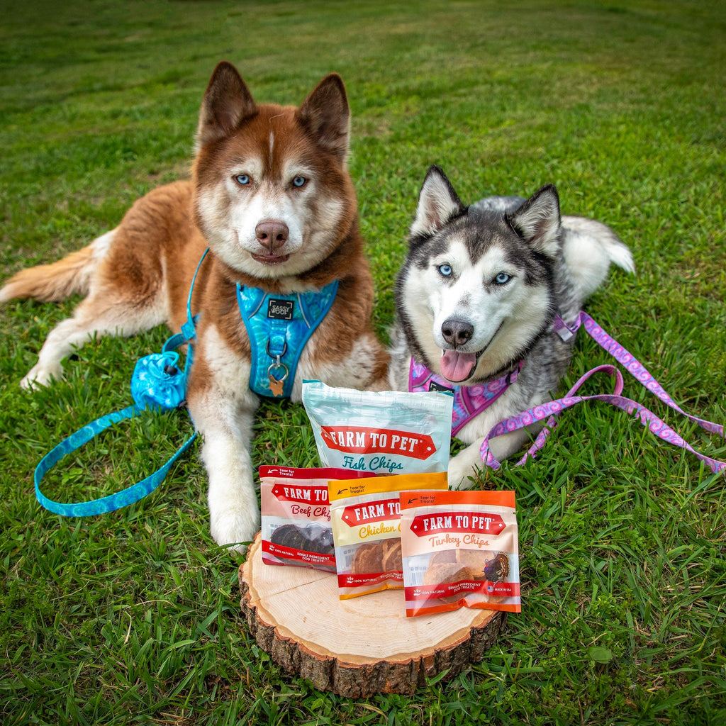 Puppy Training Treat Sampler — Single-Ingredient Protein Treats