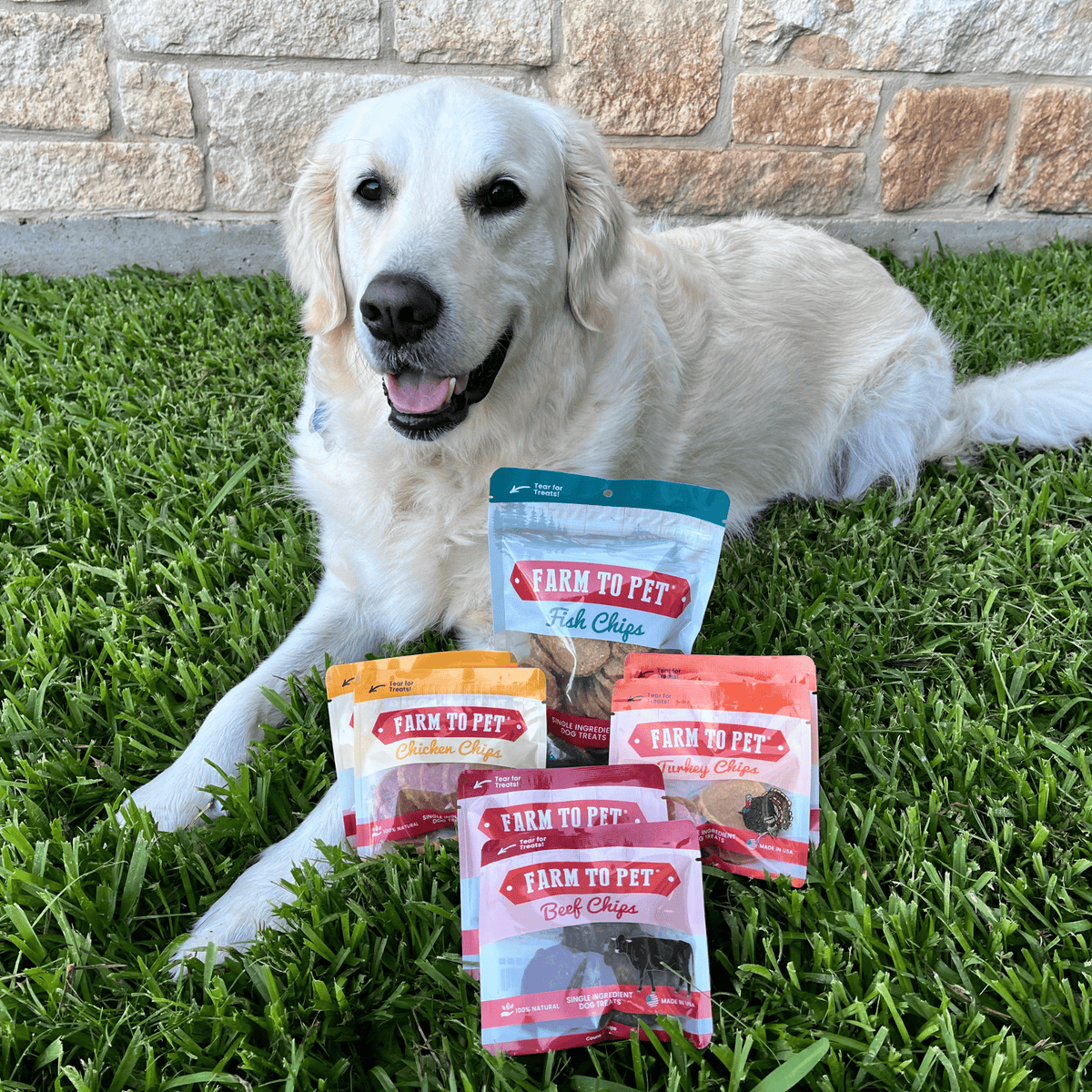 Puppy Training Treat Sampler — Single-Ingredient Protein Treats