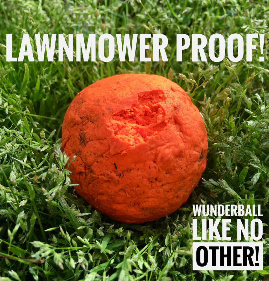 The WUNDERball Natural Rubber Fetch Ball