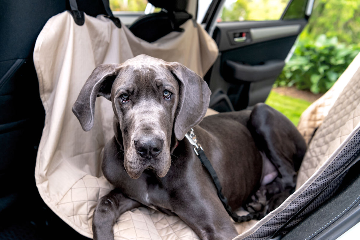 TuffutLuxx Travel Seat Protectors by HuggleHounds