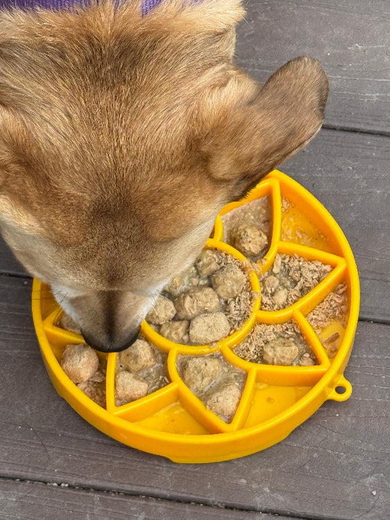 Sunflower Enrichment Feeder by SodaPup