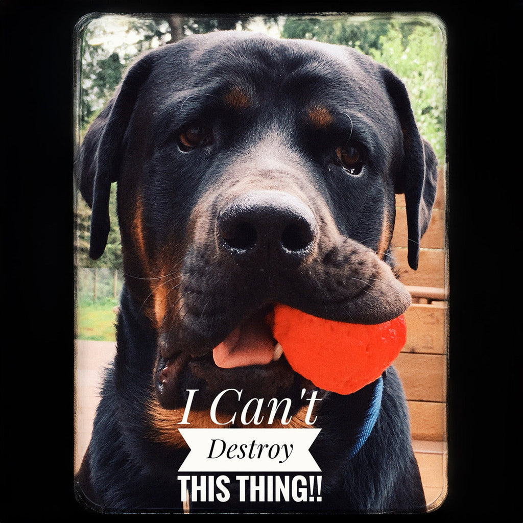 The WUNDERball Natural Rubber Fetch Ball