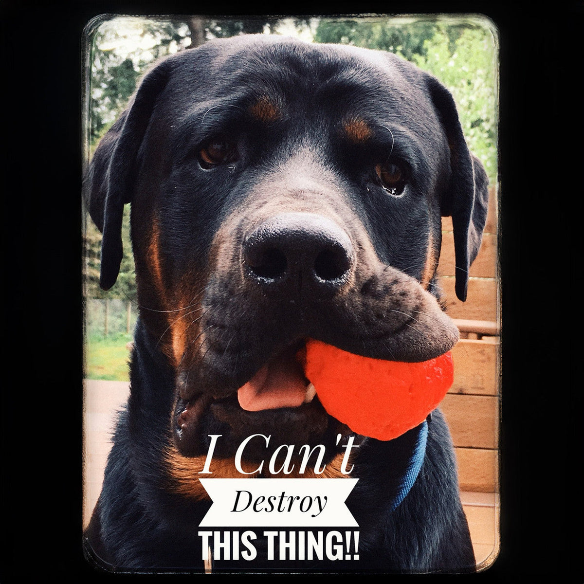 The WUNDERball Natural Rubber Fetch Ball