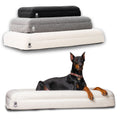 The Wasatch Orthopedic Bouclé Dog Bed
