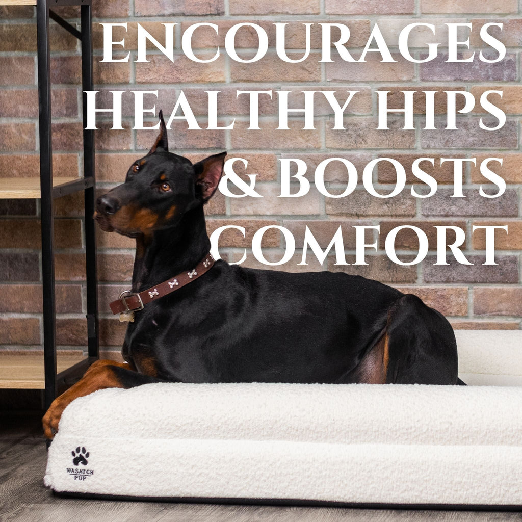 The Wasatch Orthopedic Bouclé Dog Bed