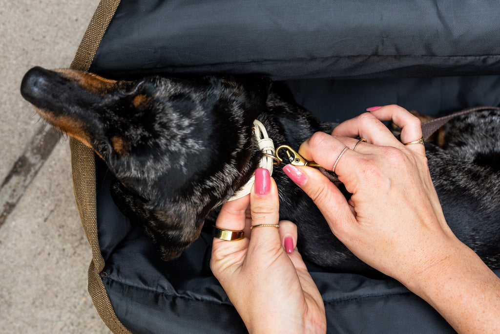 The Army Green Daily Dog Carrier by Bespoke Paws