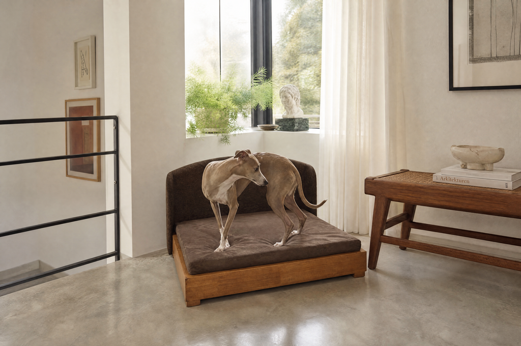 The Haven Handcrafted Orthopedic Bed by Mafé